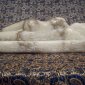 Reclining Figure, Alabaster